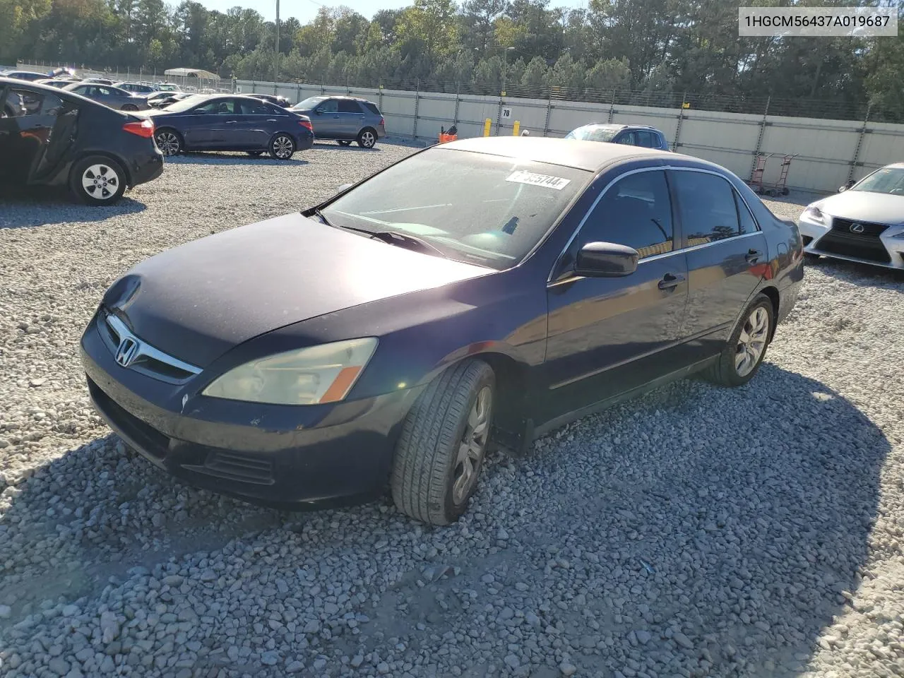 2007 Honda Accord Lx VIN: 1HGCM56437A019687 Lot: 77355744