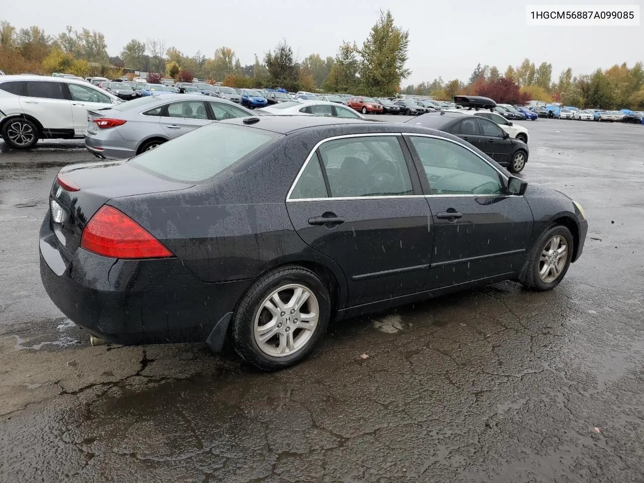 2007 Honda Accord Ex VIN: 1HGCM56887A099085 Lot: 78507164