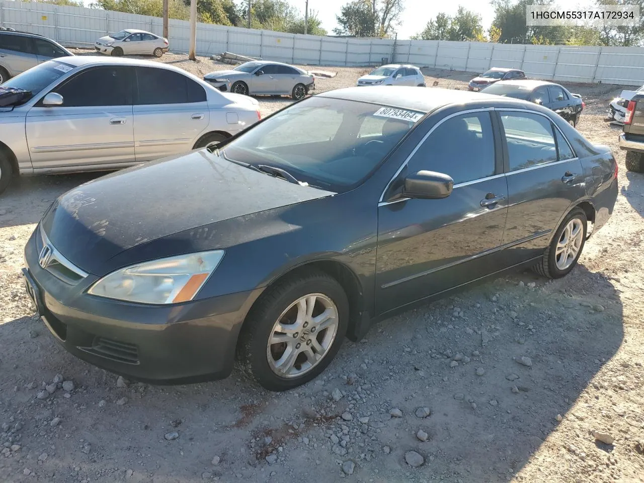 2007 Honda Accord Se VIN: 1HGCM55317A172934 Lot: 80793464