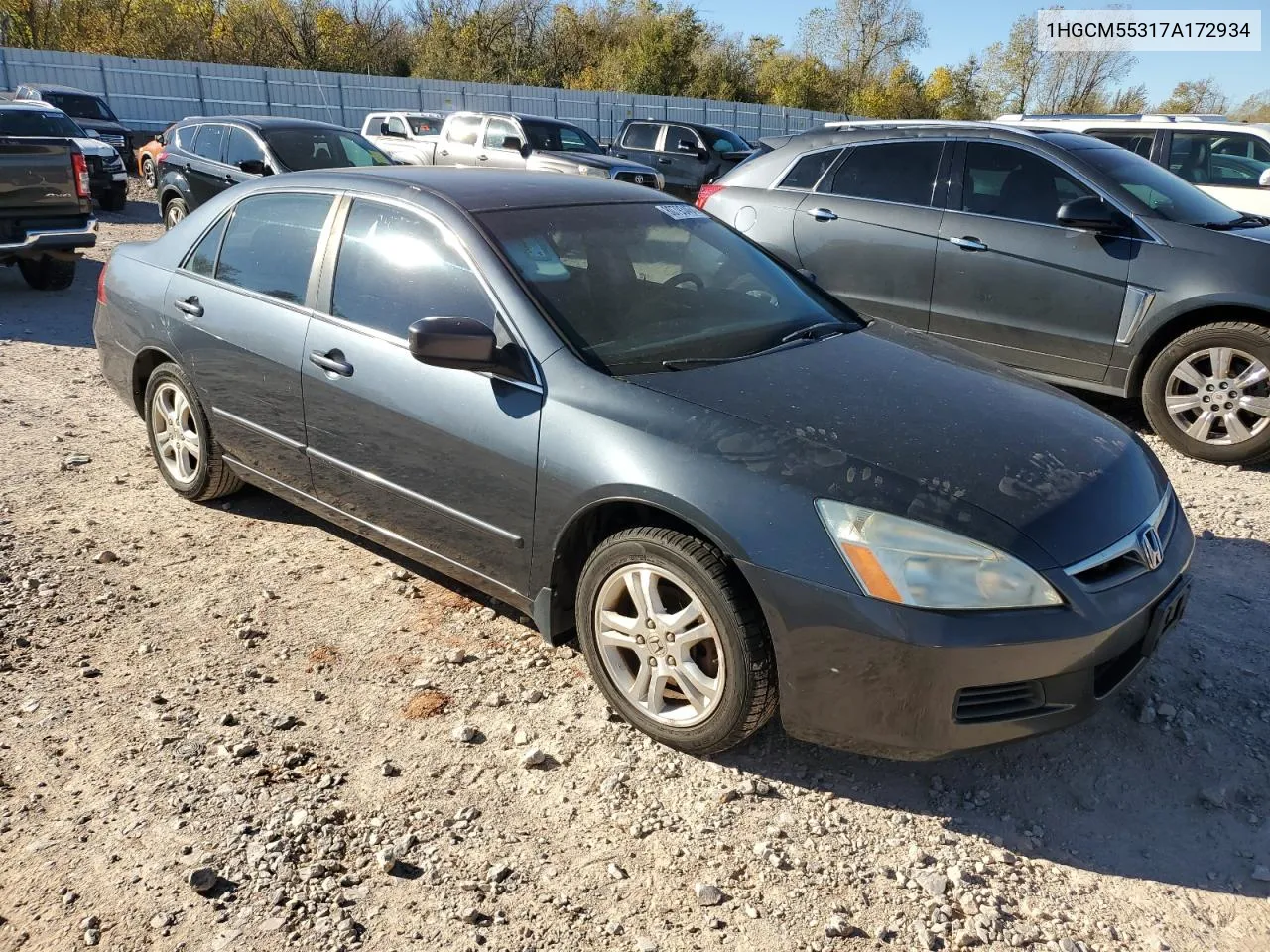 2007 Honda Accord Se VIN: 1HGCM55317A172934 Lot: 80793464