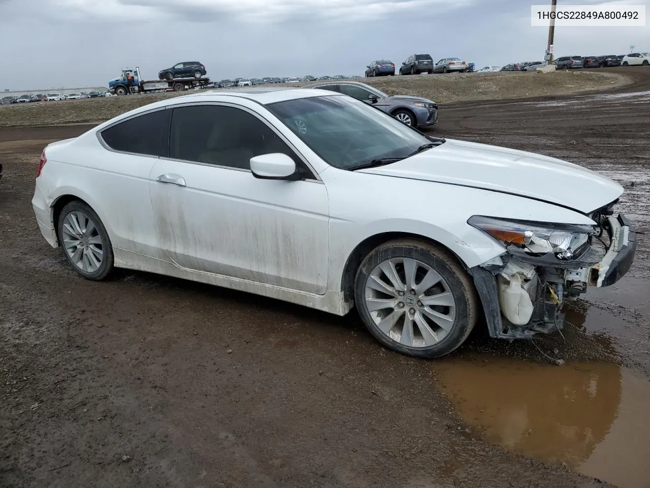 2009 Honda Accord Exl VIN: 1HGCS22849A800492 Lot: 49018954