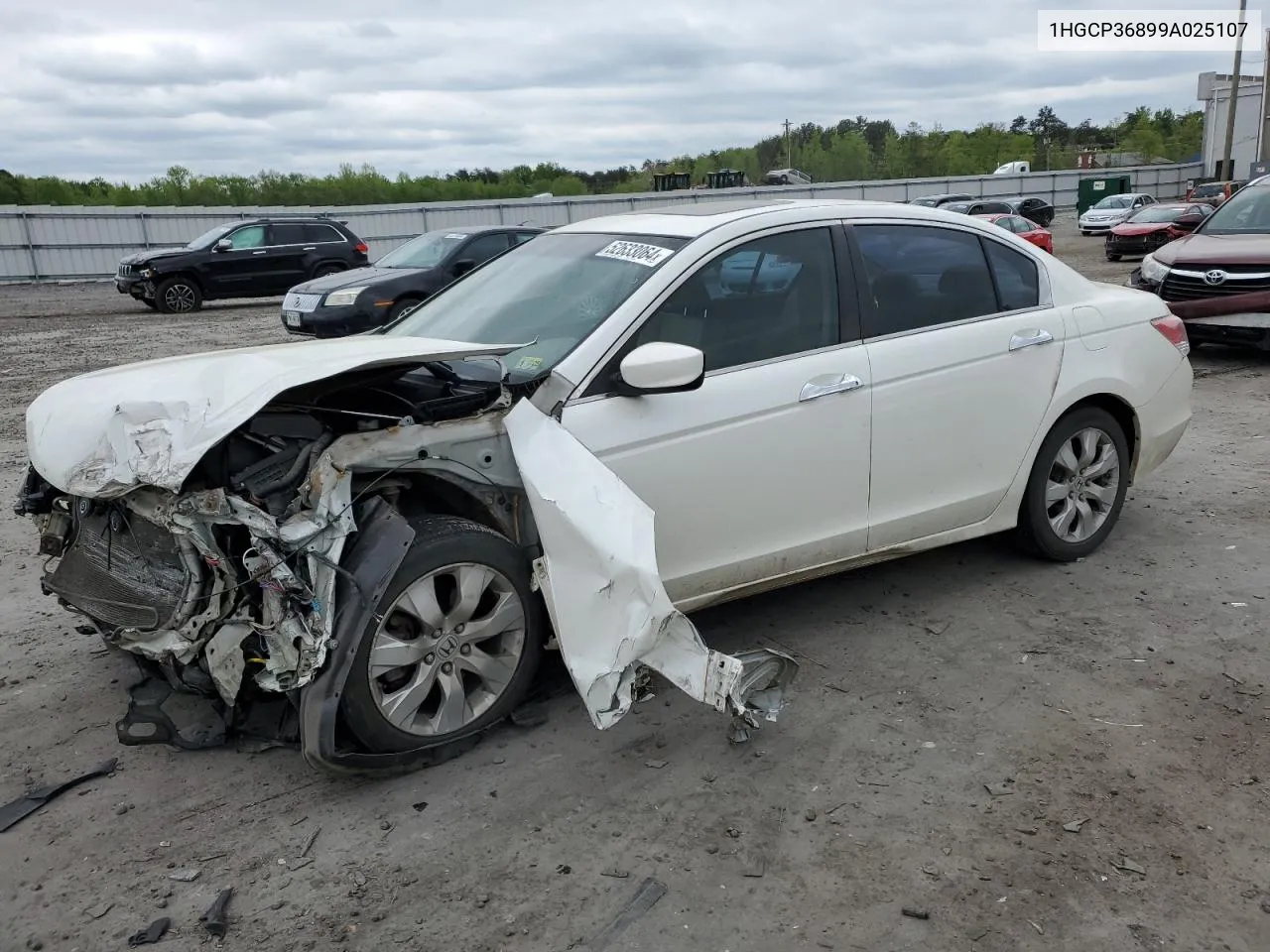 2009 Honda Accord Exl VIN: 1HGCP36899A025107 Lot: 52633064