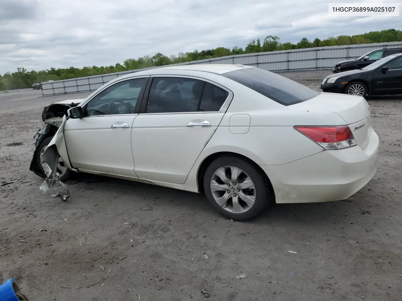 2009 Honda Accord Exl VIN: 1HGCP36899A025107 Lot: 52633064