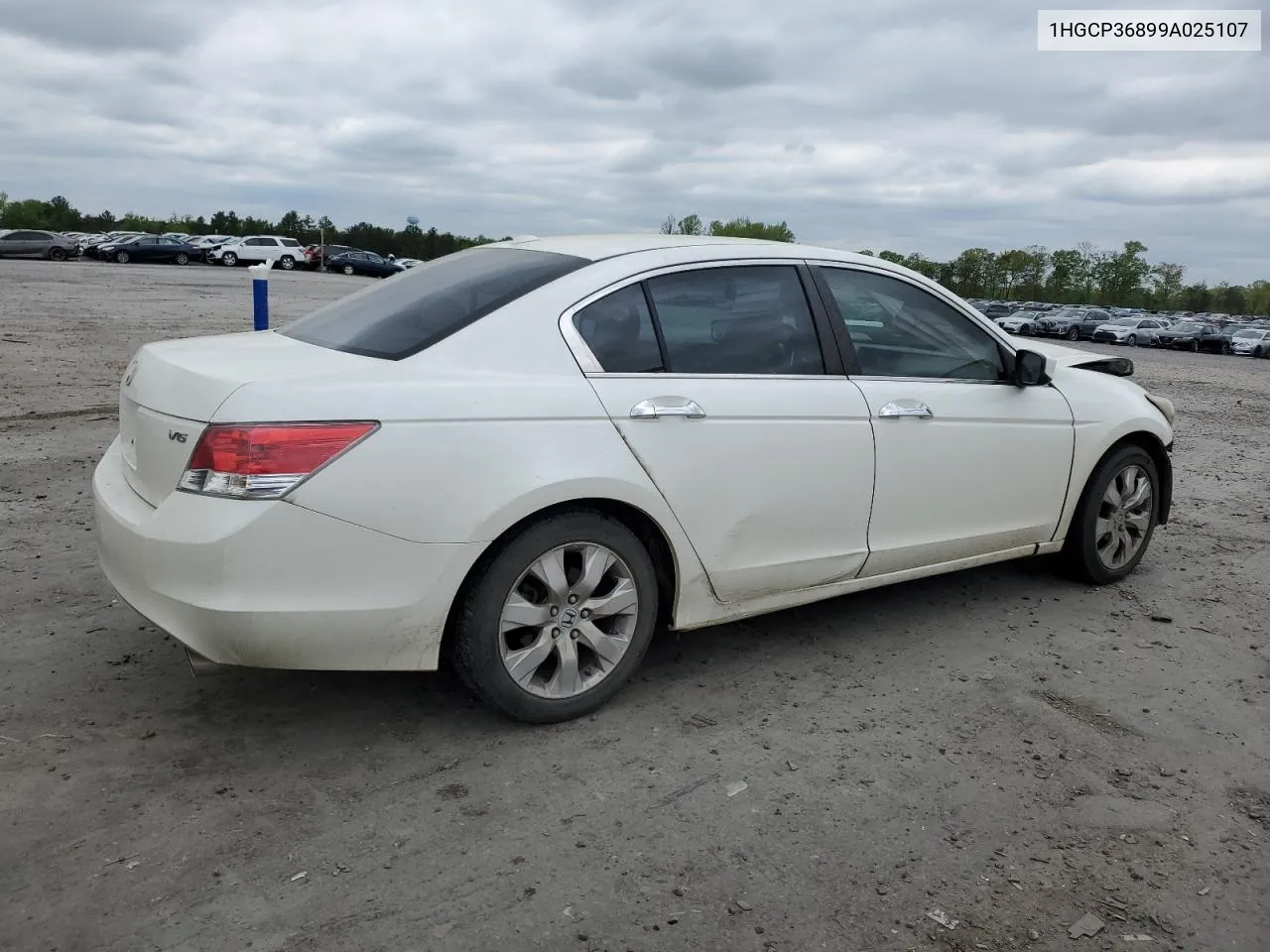 2009 Honda Accord Exl VIN: 1HGCP36899A025107 Lot: 52633064