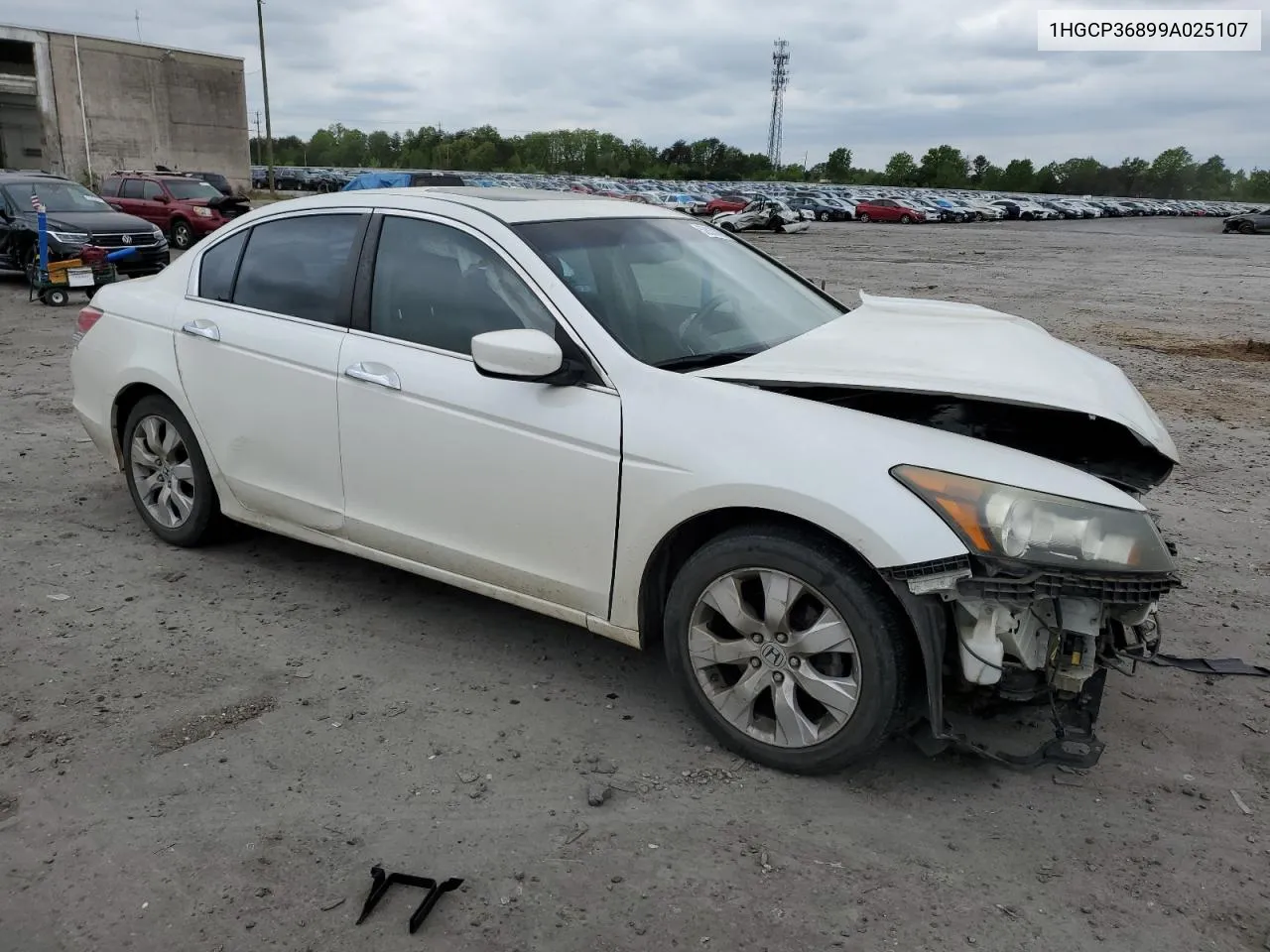 2009 Honda Accord Exl VIN: 1HGCP36899A025107 Lot: 52633064