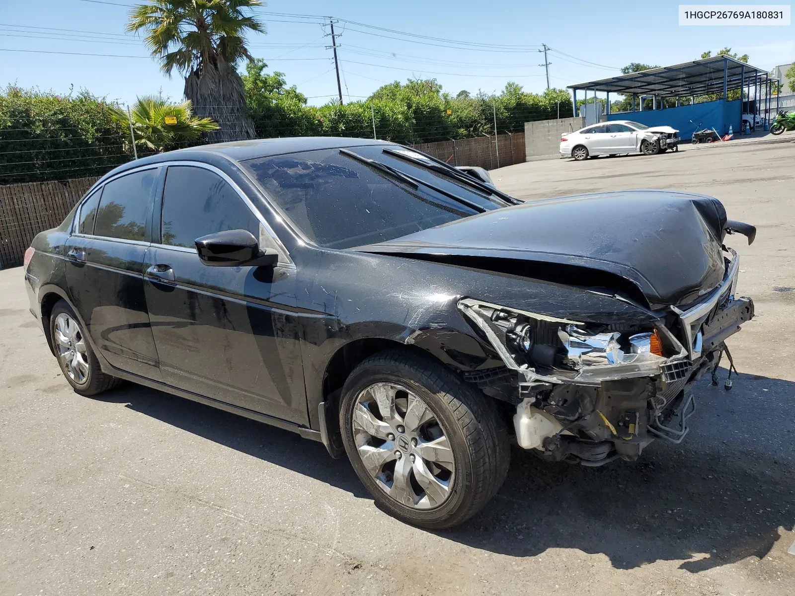 2009 Honda Accord Ex VIN: 1HGCP26769A180831 Lot: 55117144