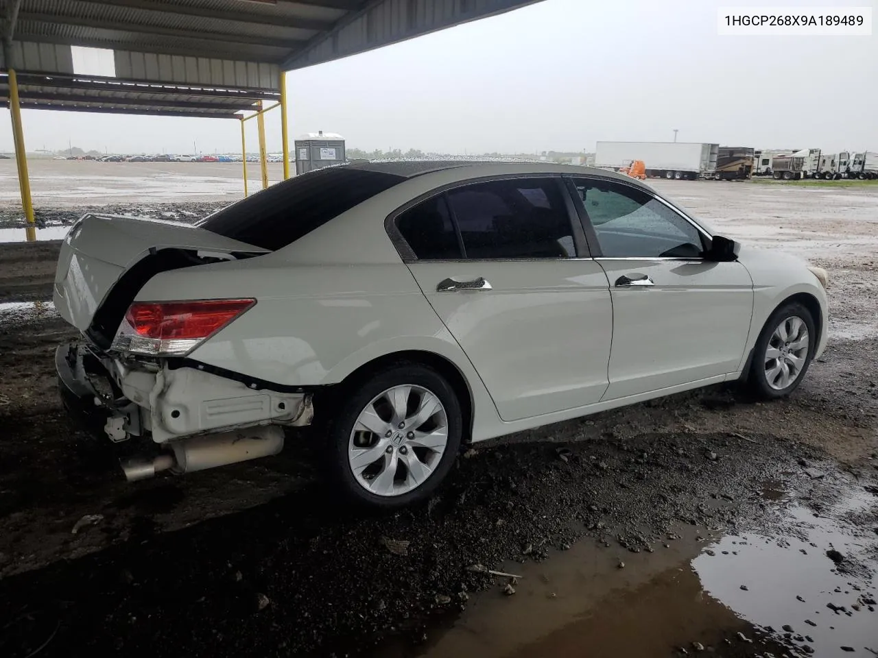 2009 Honda Accord Exl VIN: 1HGCP268X9A189489 Lot: 64784174