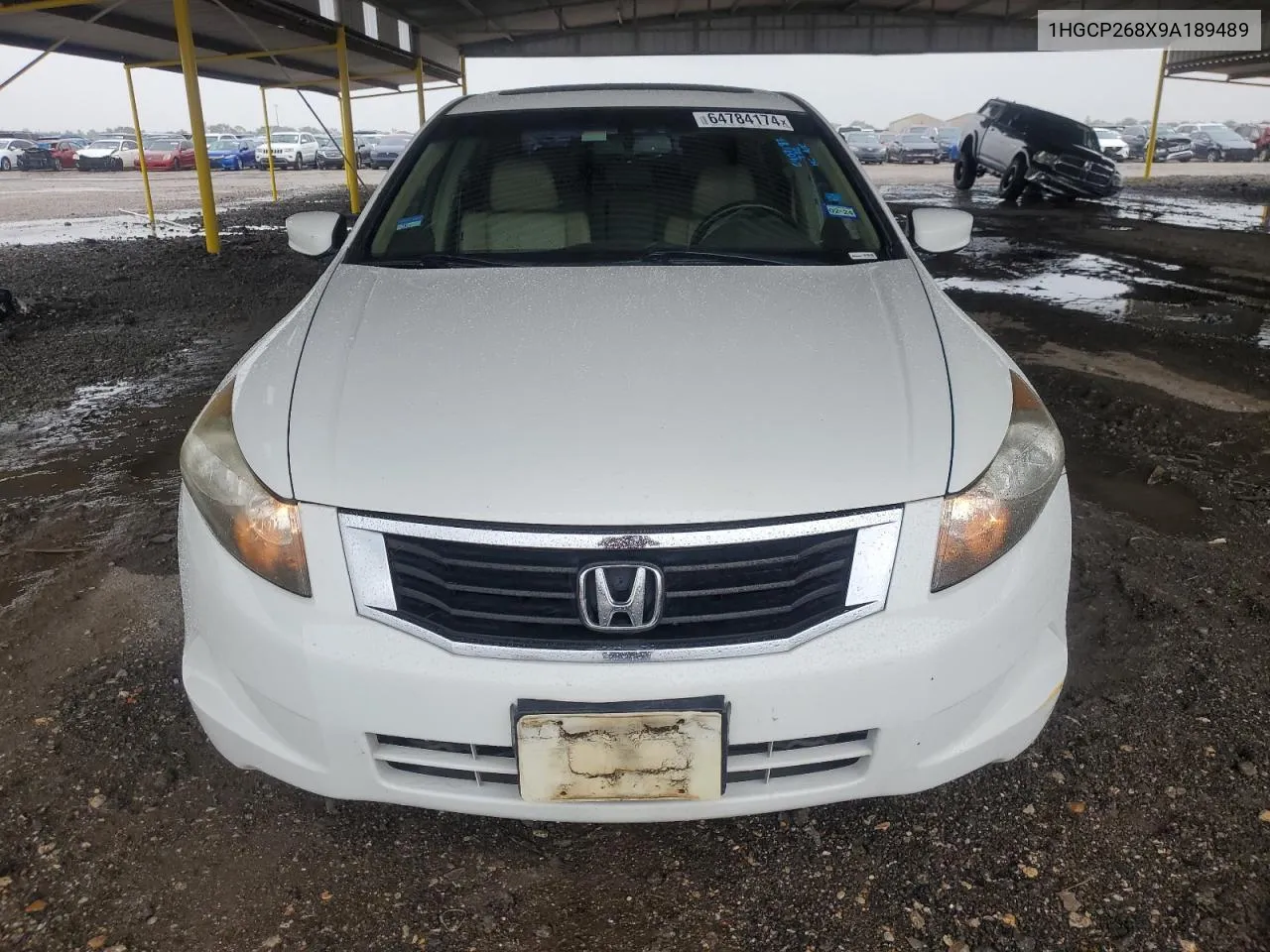 2009 Honda Accord Exl VIN: 1HGCP268X9A189489 Lot: 64784174