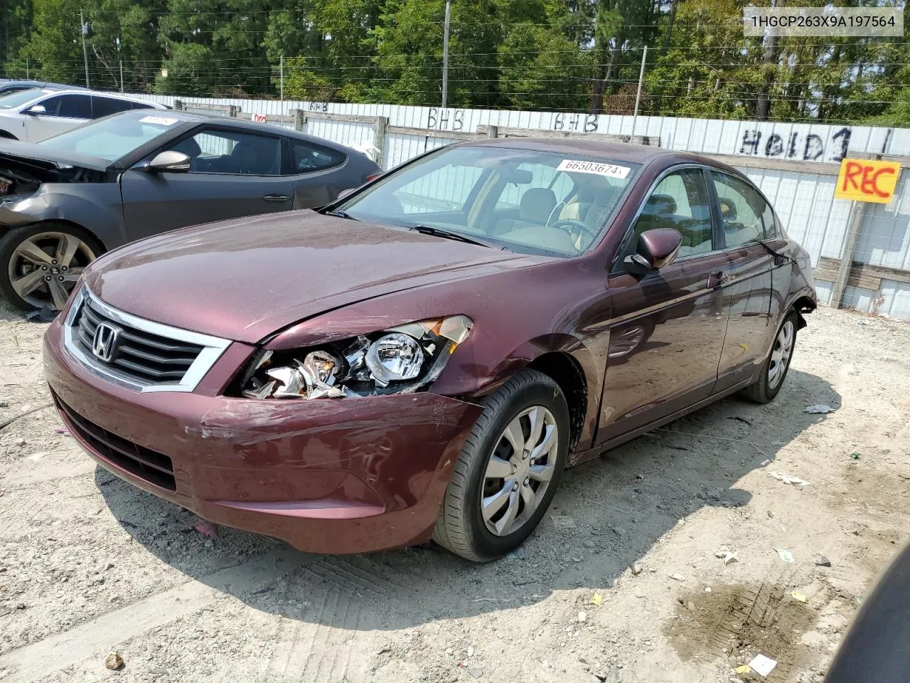 2009 Honda Accord Lx VIN: 1HGCP263X9A197564 Lot: 66503674