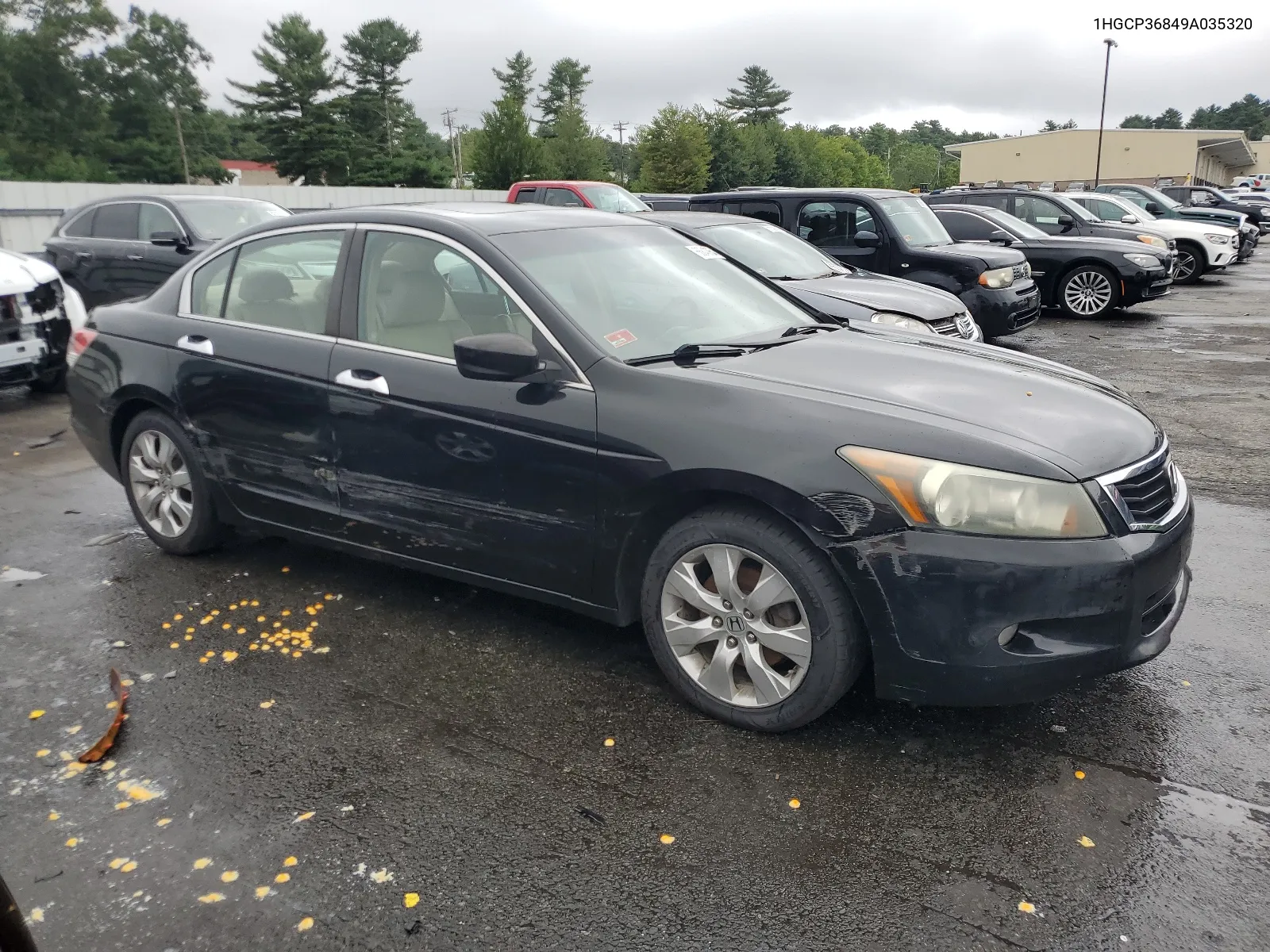 2009 Honda Accord Exl VIN: 1HGCP36849A035320 Lot: 66840854