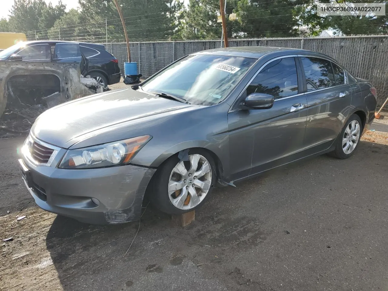 2009 Honda Accord Exl VIN: 1HGCP36809A022077 Lot: 68560254