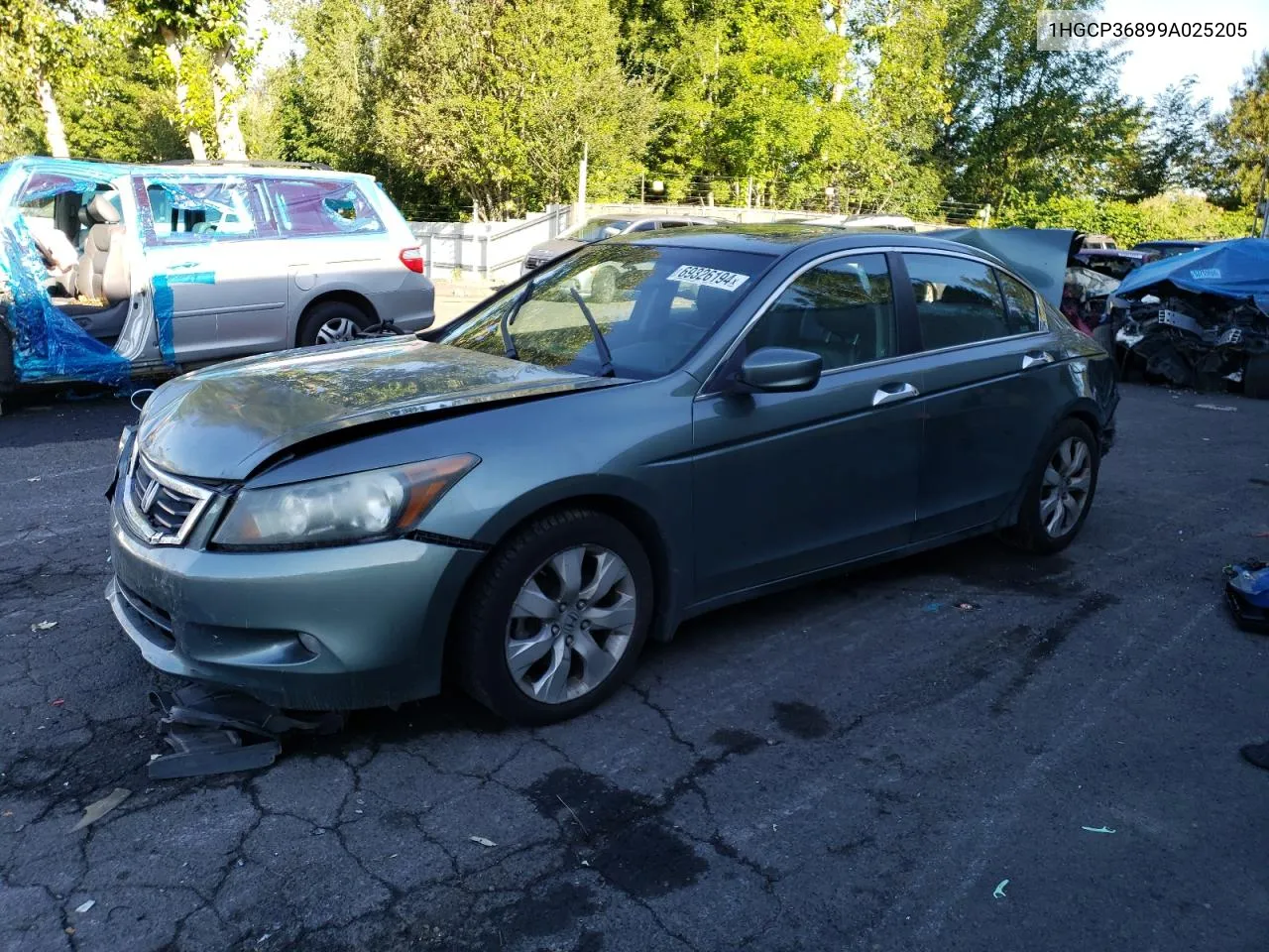 2009 Honda Accord Exl VIN: 1HGCP36899A025205 Lot: 69326194