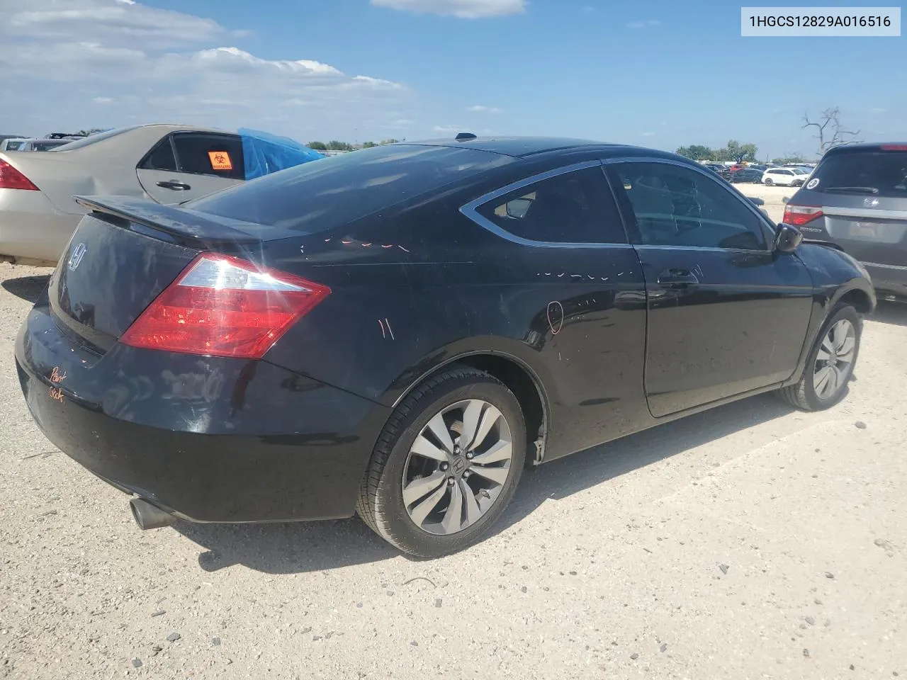 2009 Honda Accord Exl VIN: 1HGCS12829A016516 Lot: 70487374