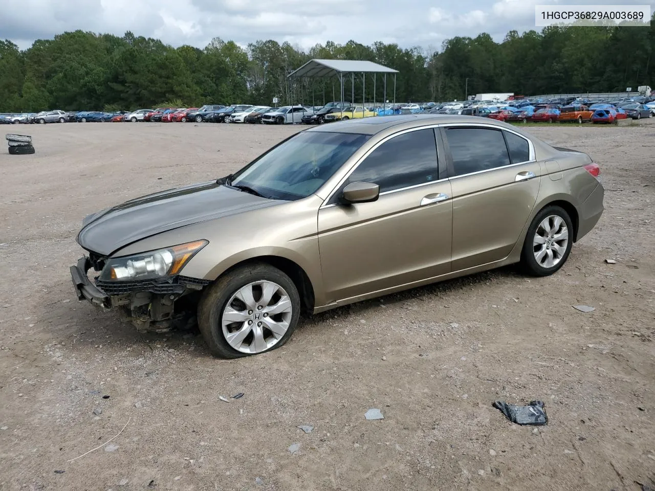 2009 Honda Accord Exl VIN: 1HGCP36829A003689 Lot: 73058074