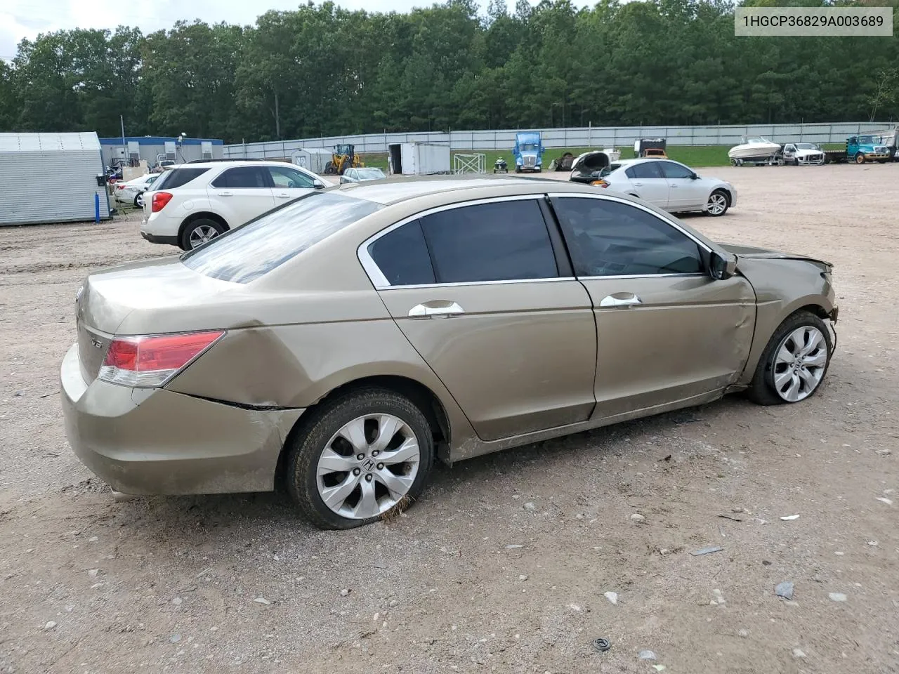 2009 Honda Accord Exl VIN: 1HGCP36829A003689 Lot: 73058074