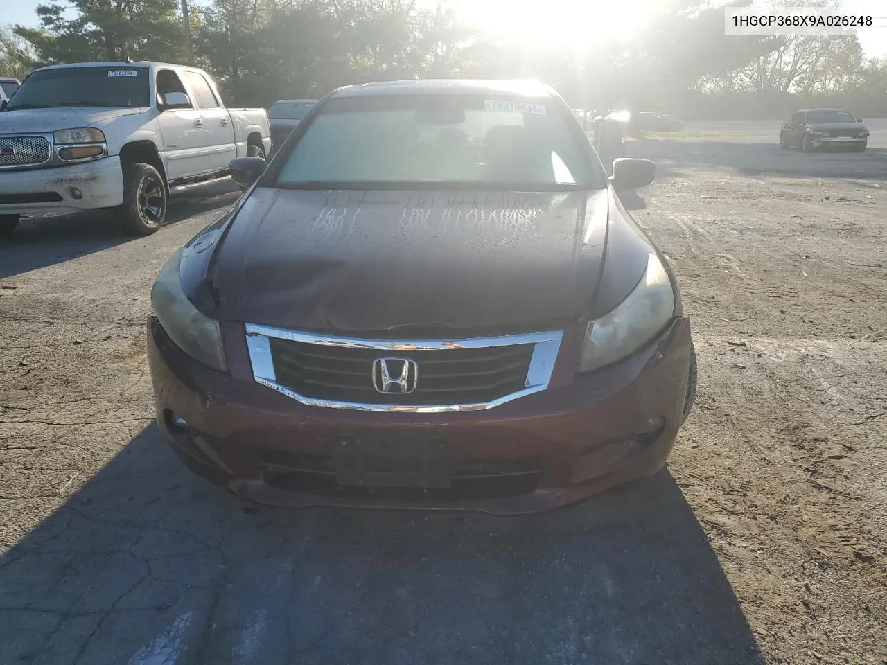 2009 Honda Accord Exl VIN: 1HGCP368X9A026248 Lot: 75319434