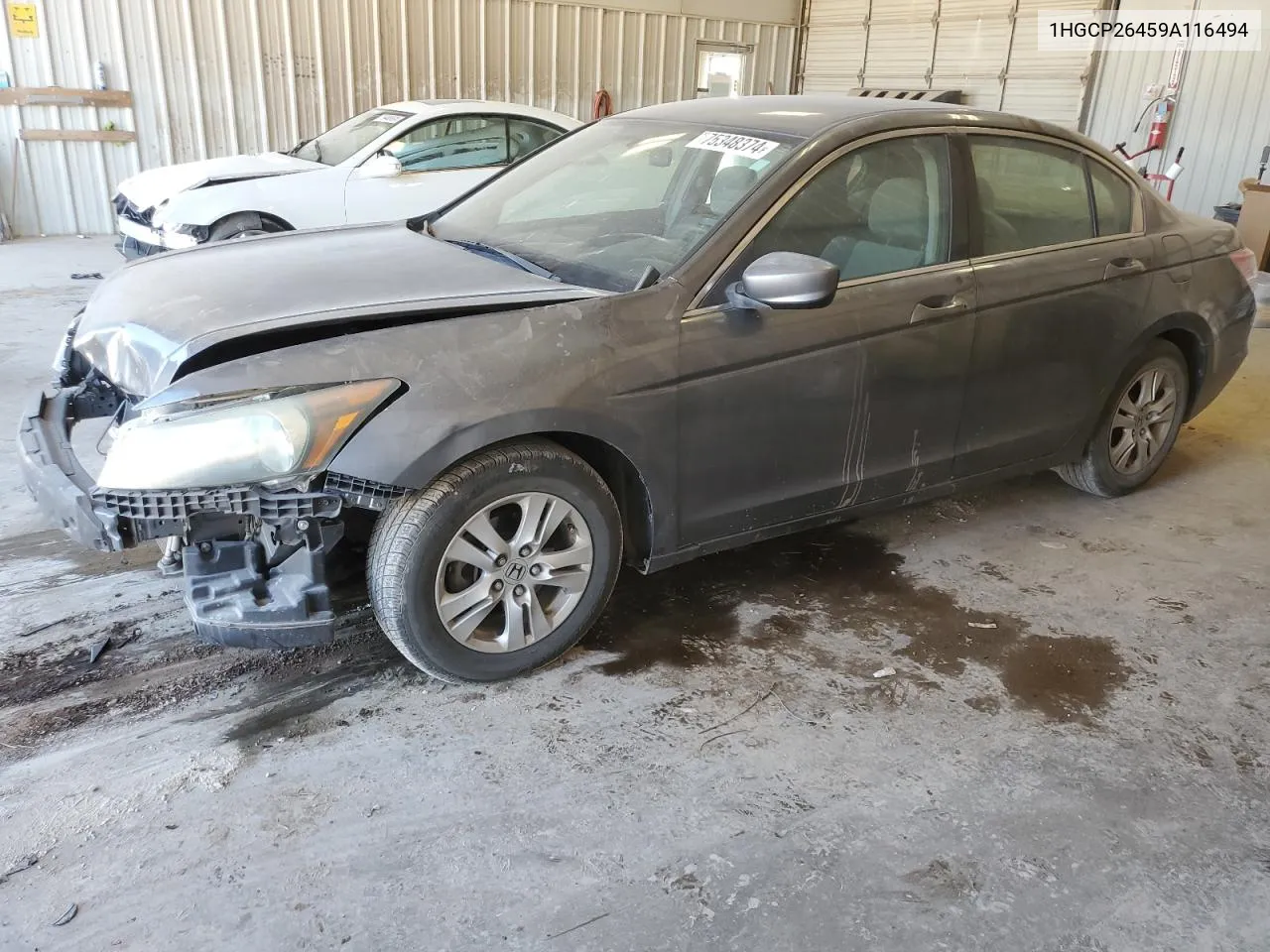 2009 Honda Accord Lxp VIN: 1HGCP26459A116494 Lot: 75348374