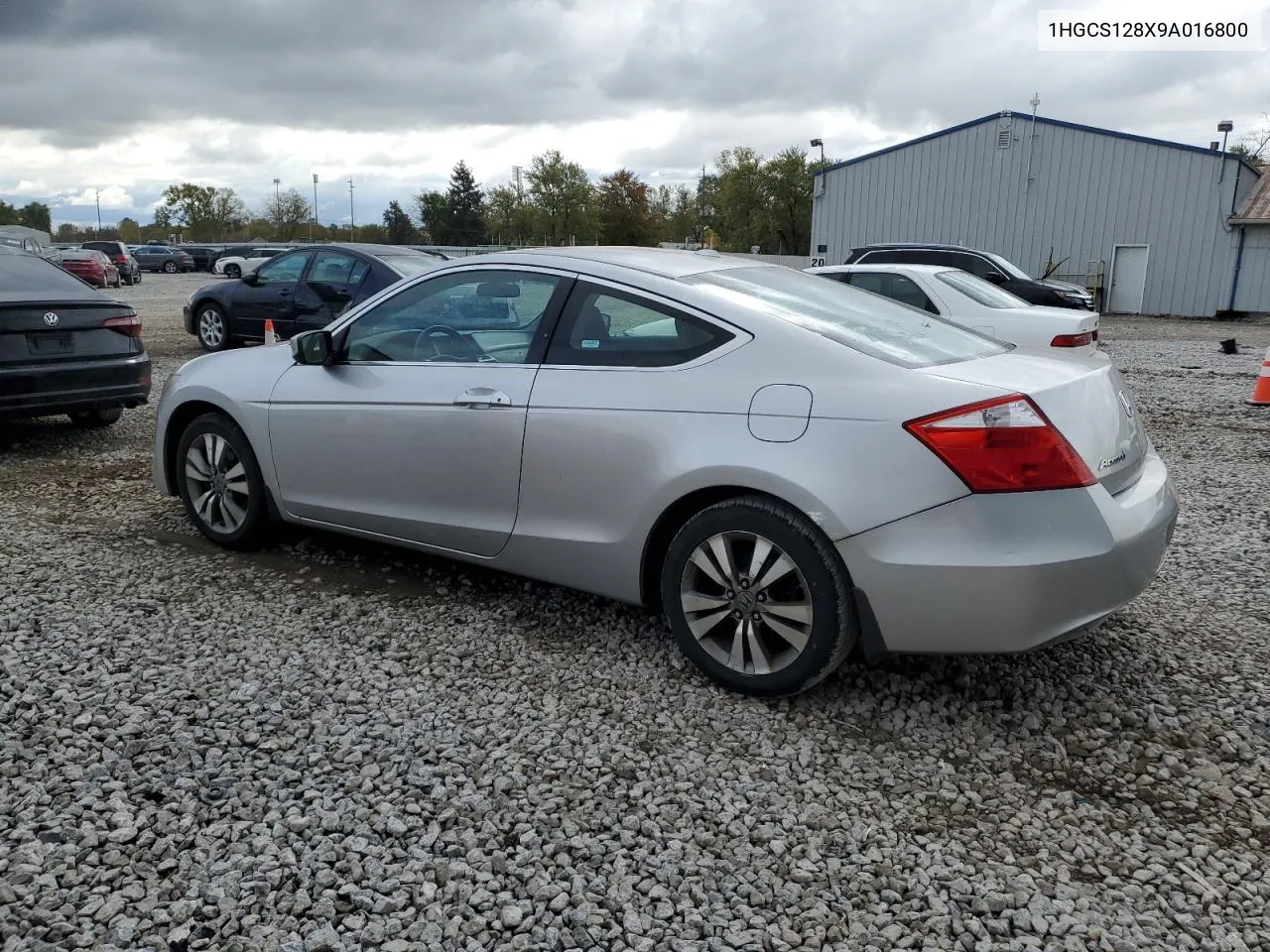 2009 Honda Accord Exl VIN: 1HGCS128X9A016800 Lot: 75812134