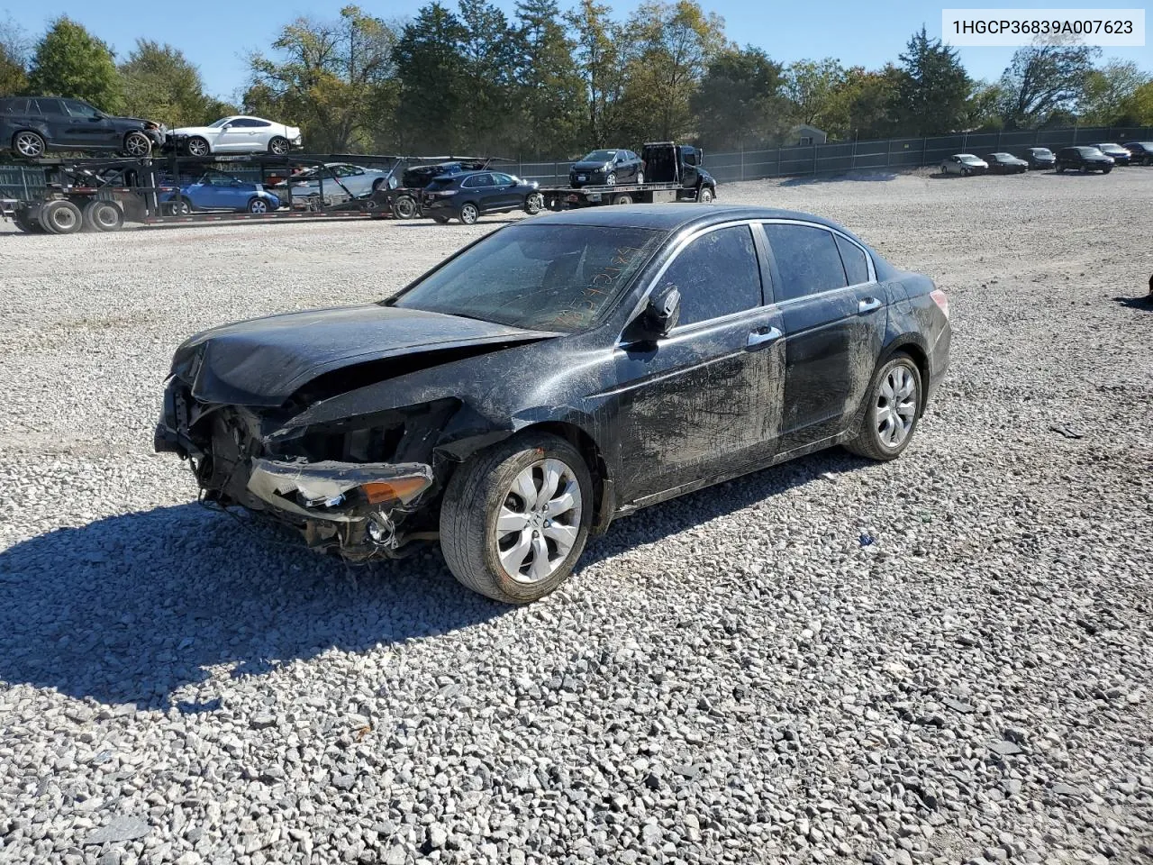 2009 Honda Accord Exl VIN: 1HGCP36839A007623 Lot: 76542184