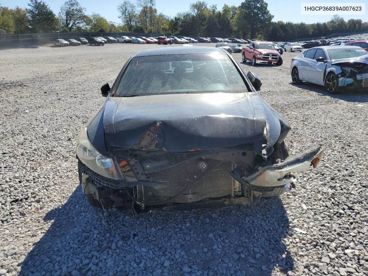 2009 Honda Accord Exl VIN: 1HGCP36839A007623 Lot: 76542184