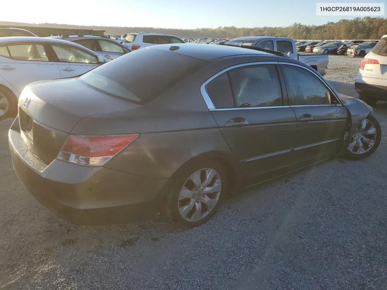 2009 Honda Accord Exl VIN: 1HGCP26819A005623 Lot: 76816824