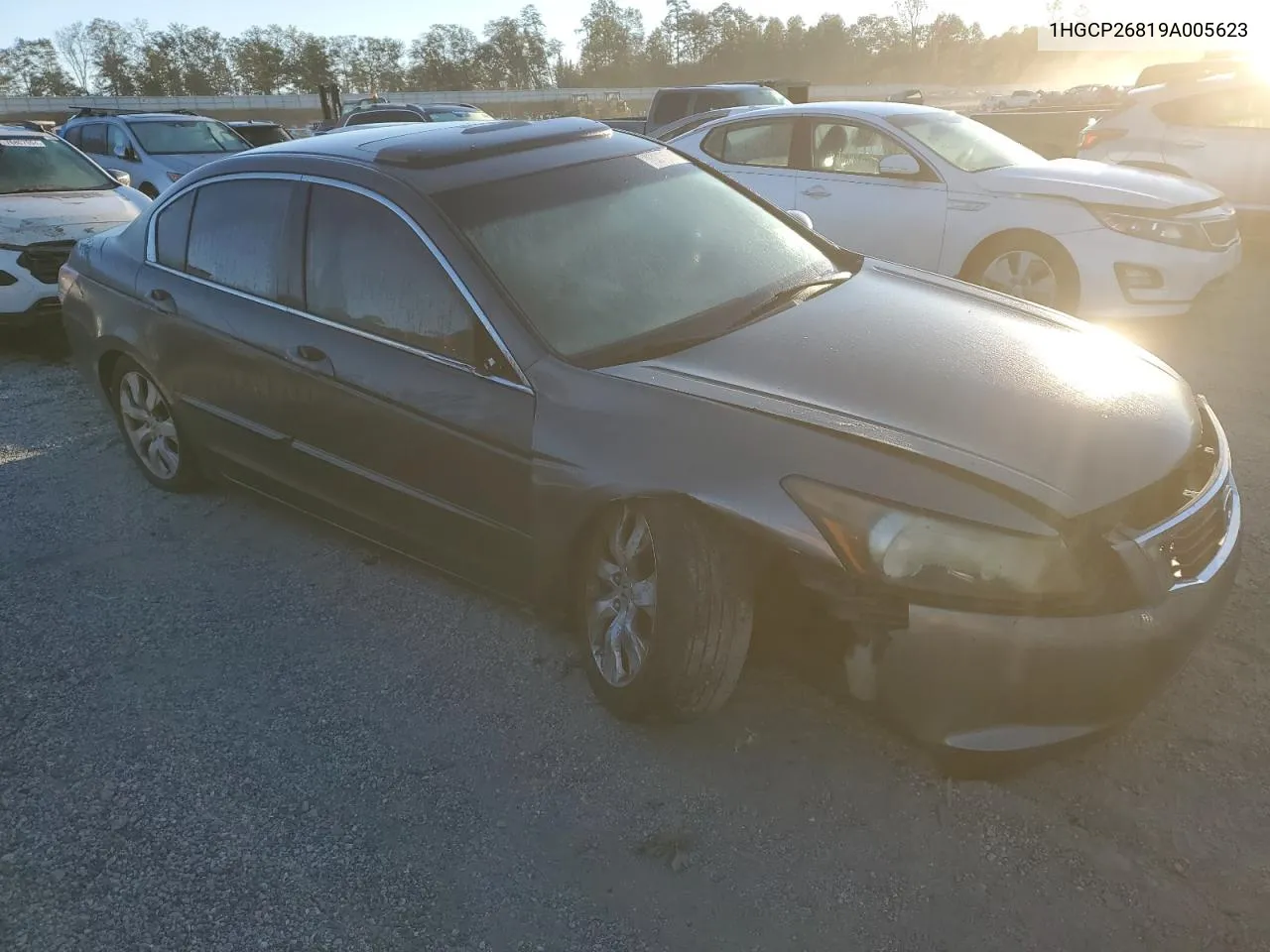 1HGCP26819A005623 2009 Honda Accord Exl