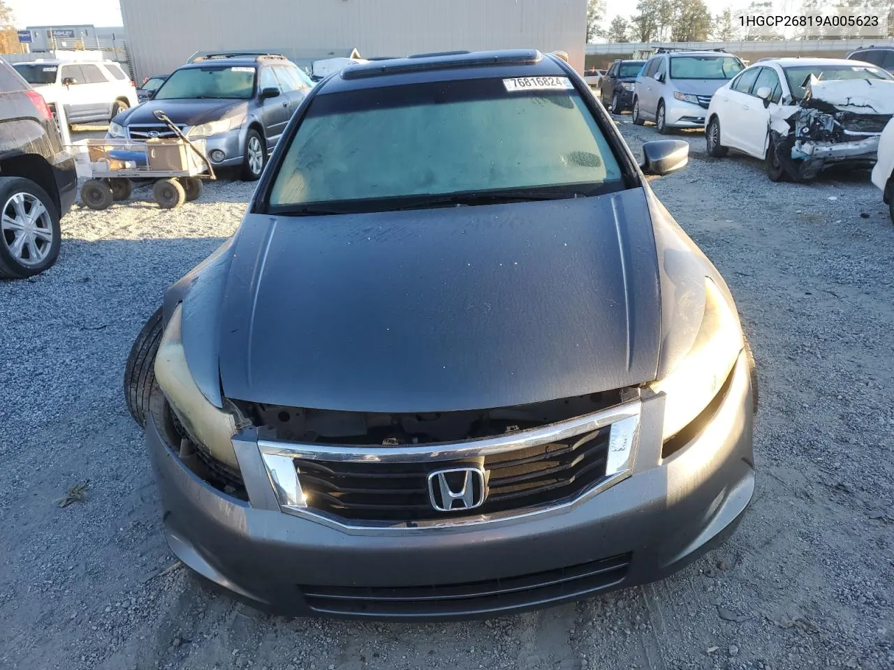 2009 Honda Accord Exl VIN: 1HGCP26819A005623 Lot: 76816824