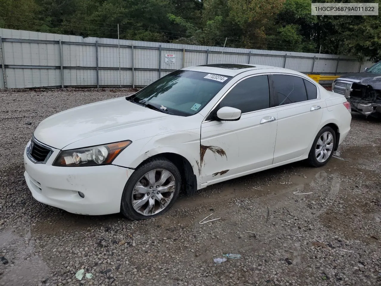 2009 Honda Accord Exl VIN: 1HGCP36879A011822 Lot: 77020314