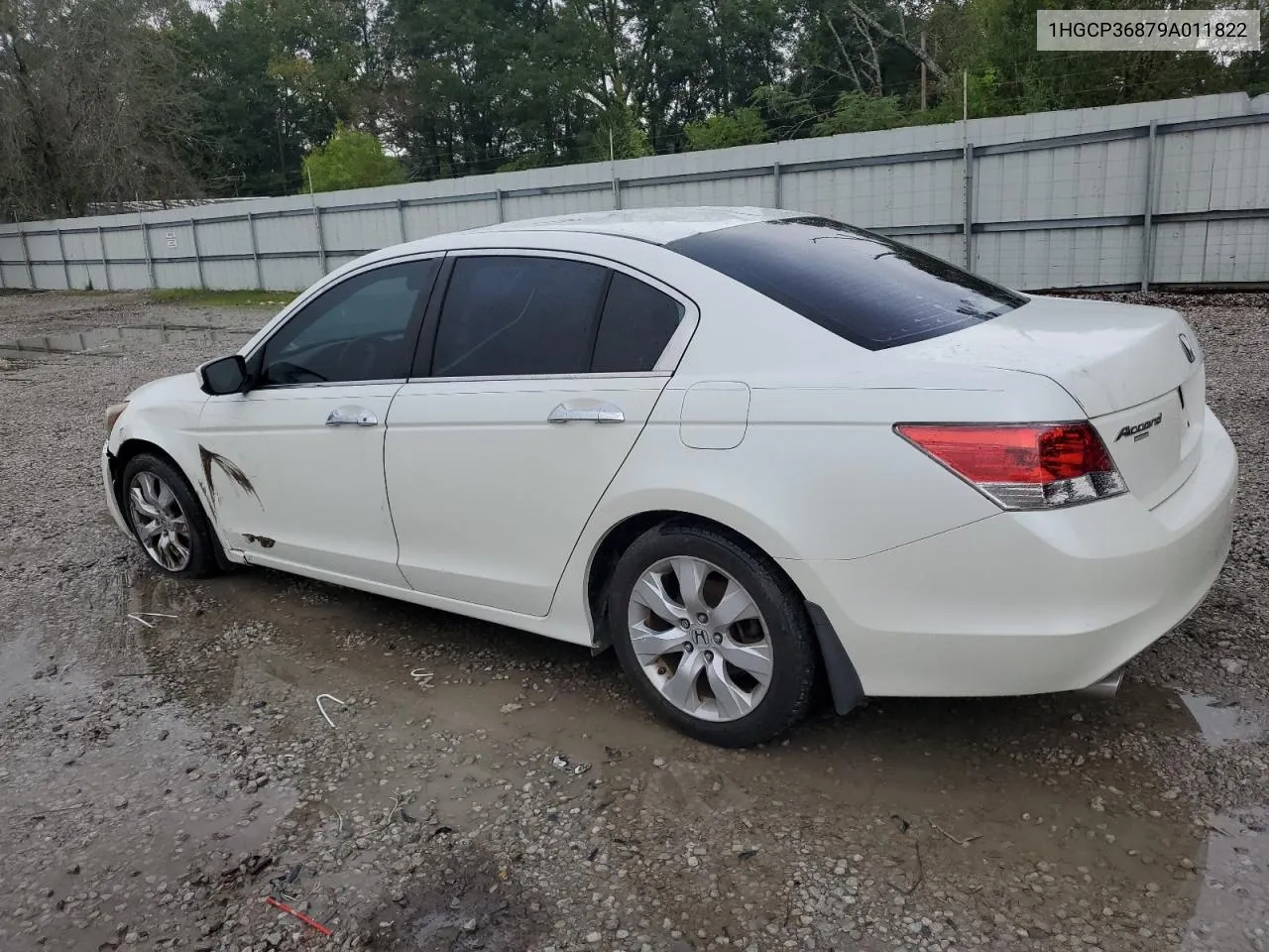 2009 Honda Accord Exl VIN: 1HGCP36879A011822 Lot: 77020314