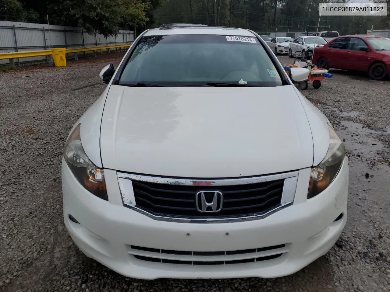 2009 Honda Accord Exl VIN: 1HGCP36879A011822 Lot: 77020314