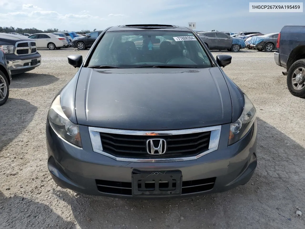 2009 Honda Accord Ex VIN: 1HGCP267X9A195459 Lot: 77808394