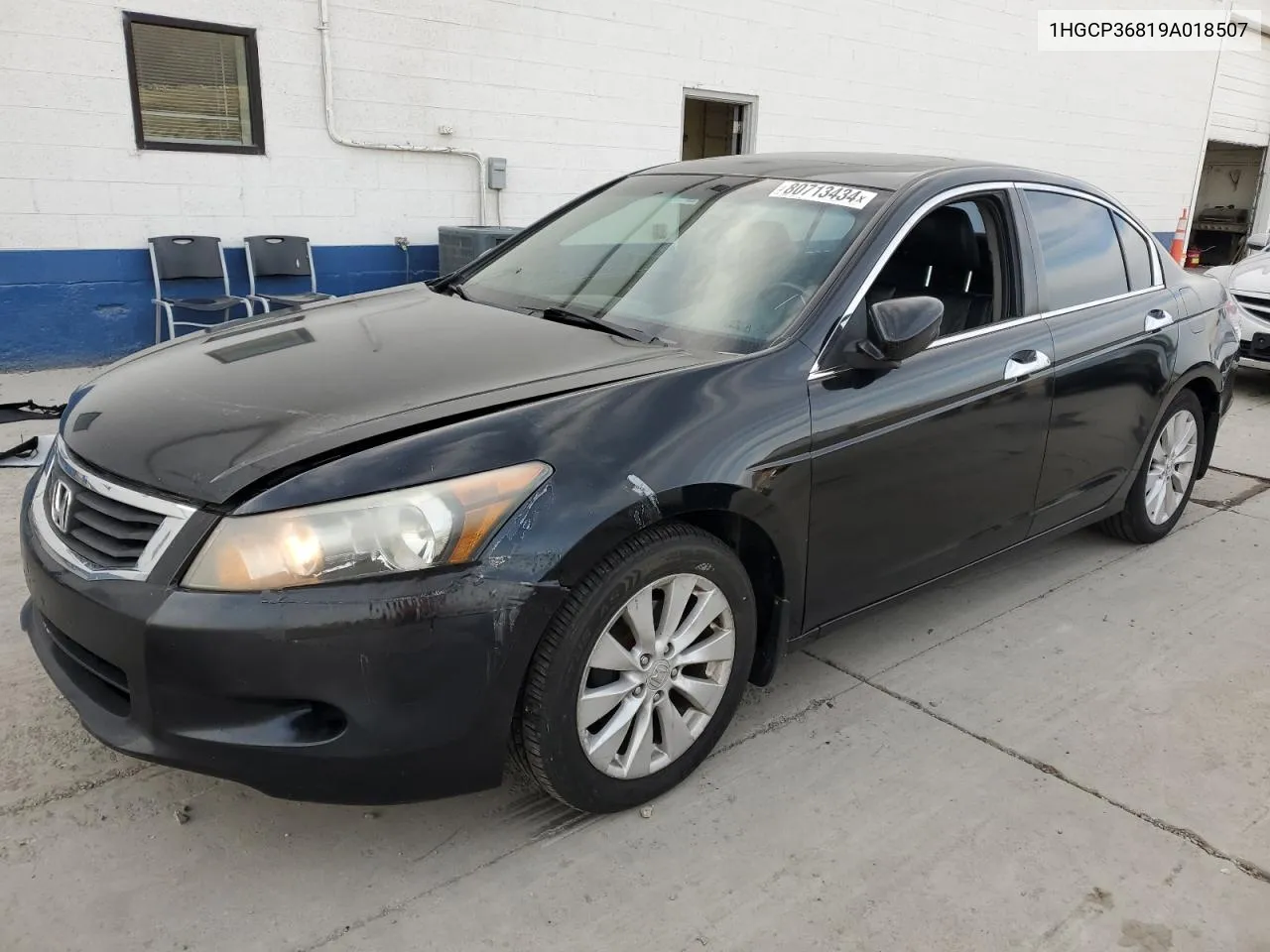 2009 Honda Accord Exl VIN: 1HGCP36819A018507 Lot: 80713434