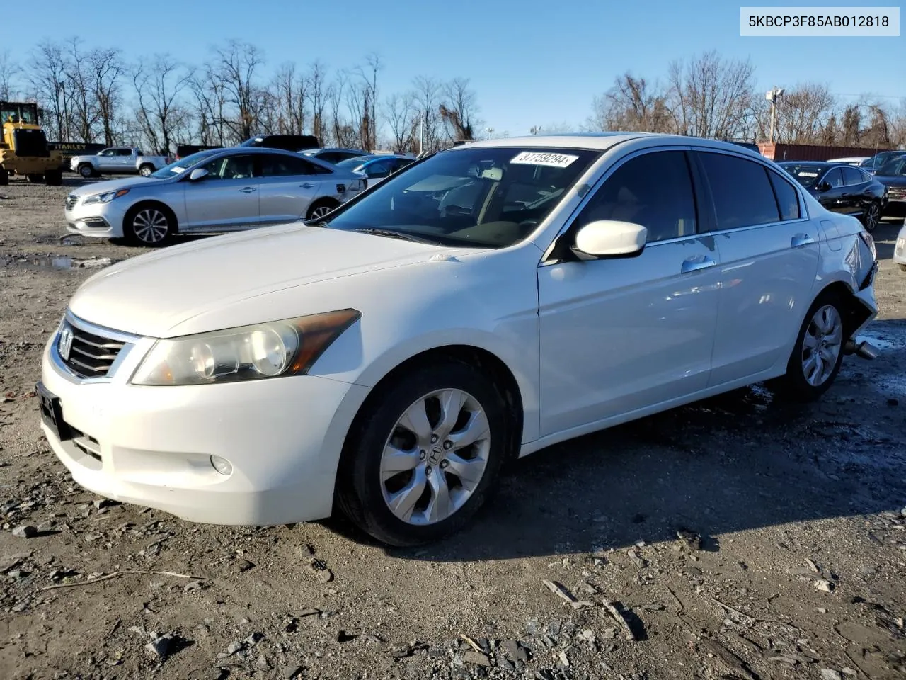 2010 Honda Accord Exl VIN: 5KBCP3F85AB012818 Lot: 37759294