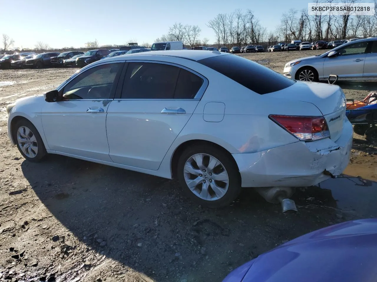 2010 Honda Accord Exl VIN: 5KBCP3F85AB012818 Lot: 37759294