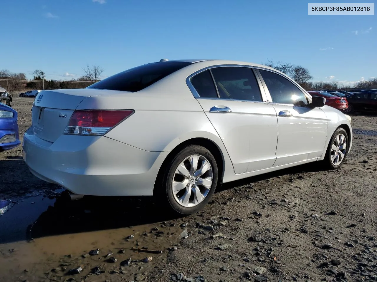 2010 Honda Accord Exl VIN: 5KBCP3F85AB012818 Lot: 37759294