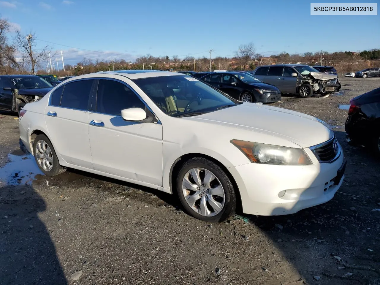 2010 Honda Accord Exl VIN: 5KBCP3F85AB012818 Lot: 37759294