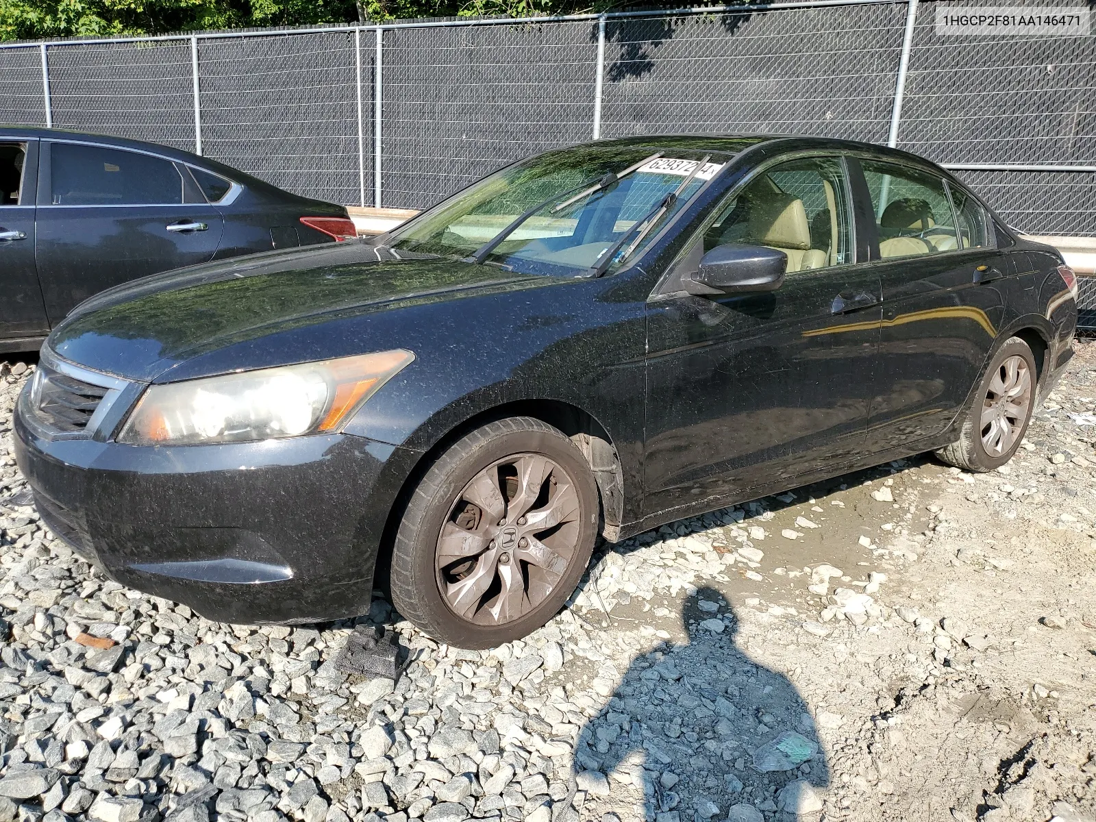 2010 Honda Accord Exl VIN: 1HGCP2F81AA146471 Lot: 62937294