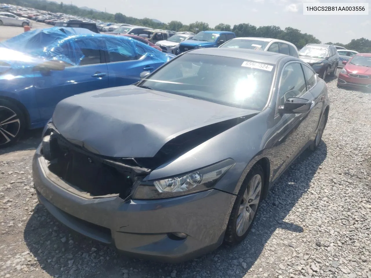 2010 Honda Accord Exl VIN: 1HGCS2B81AA003556 Lot: 65968524