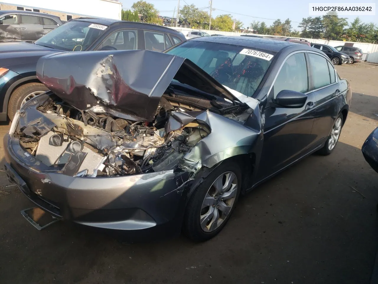 2010 Honda Accord Exl VIN: 1HGCP2F86AA036242 Lot: 70767864