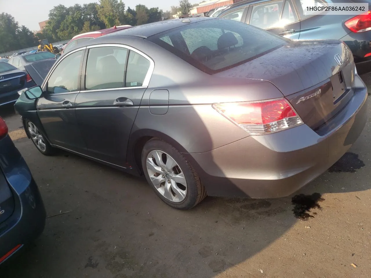 2010 Honda Accord Exl VIN: 1HGCP2F86AA036242 Lot: 70767864