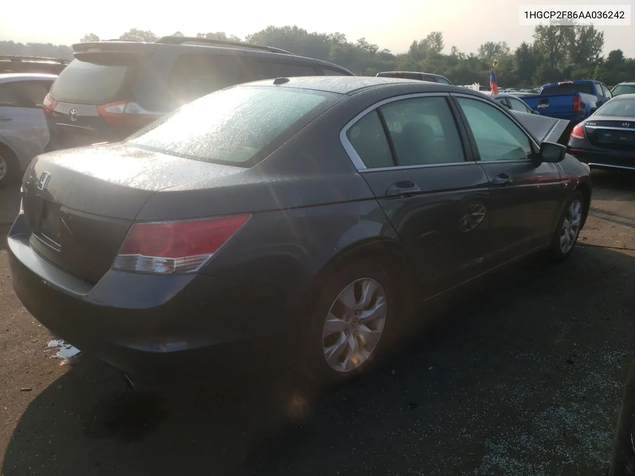 2010 Honda Accord Exl VIN: 1HGCP2F86AA036242 Lot: 70767864