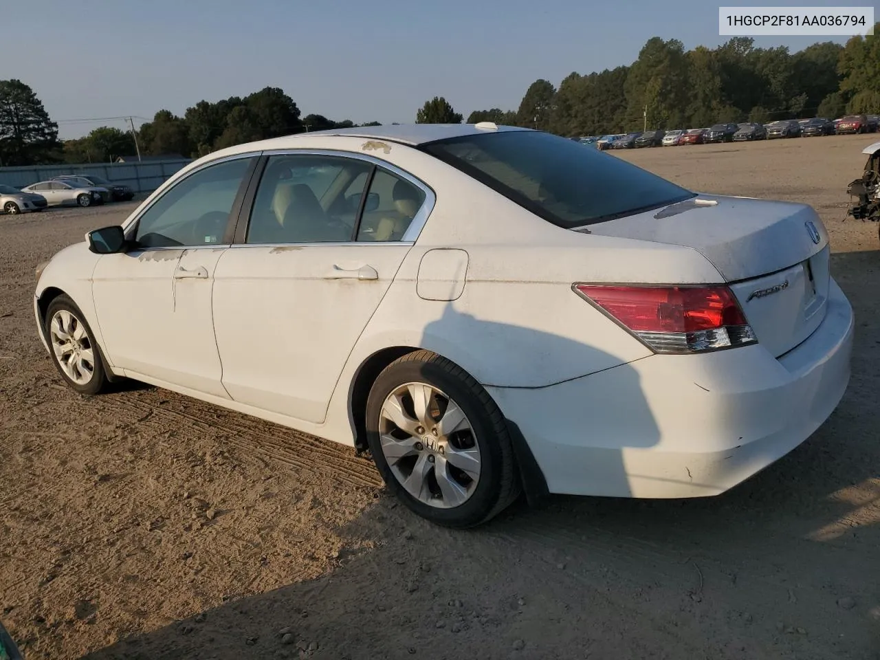 2010 Honda Accord Exl VIN: 1HGCP2F81AA036794 Lot: 76177884