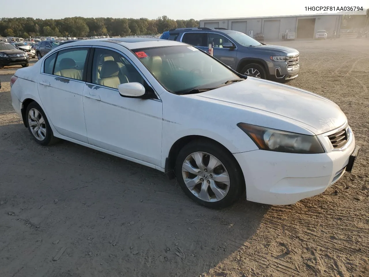 2010 Honda Accord Exl VIN: 1HGCP2F81AA036794 Lot: 76177884