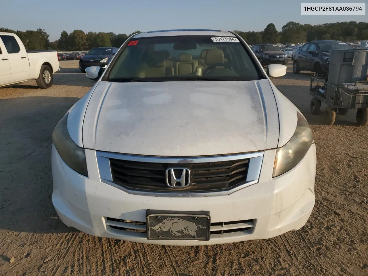 2010 Honda Accord Exl VIN: 1HGCP2F81AA036794 Lot: 76177884