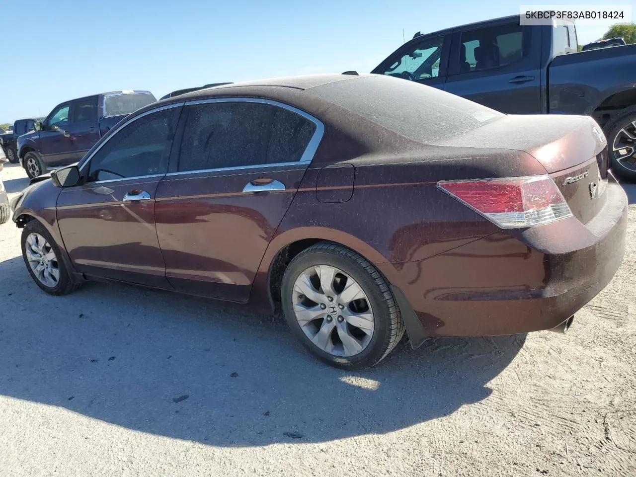 2010 Honda Accord Exl VIN: 5KBCP3F83AB018424 Lot: 77492434