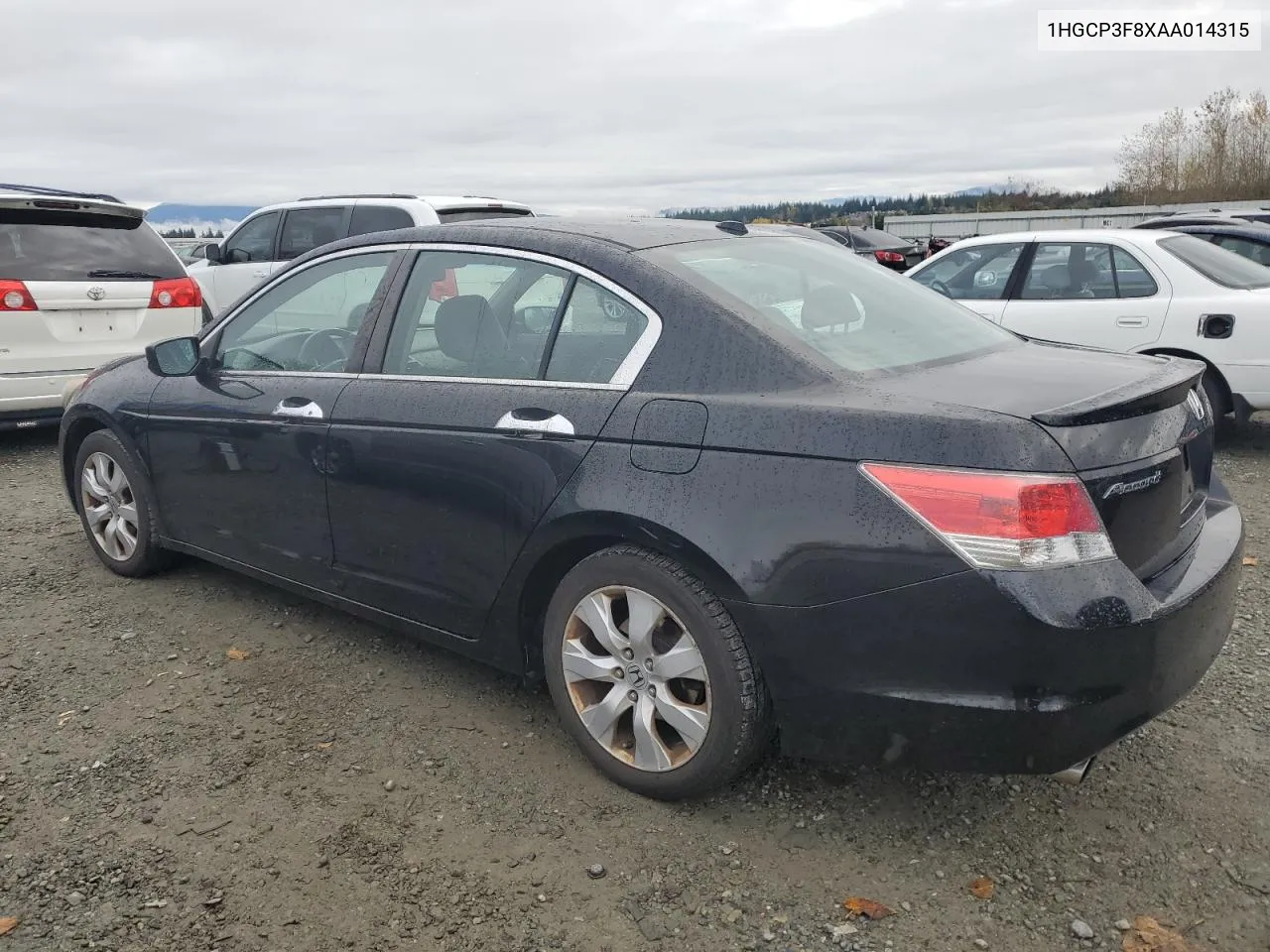 2010 Honda Accord Exl VIN: 1HGCP3F8XAA014315 Lot: 78551304