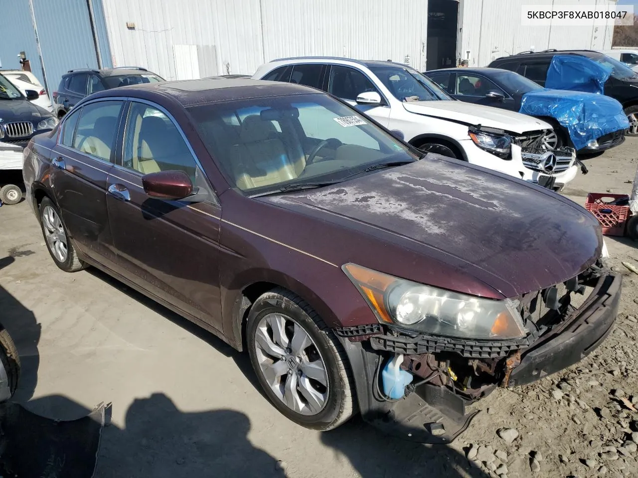 2010 Honda Accord Exl VIN: 5KBCP3F8XAB018047 Lot: 78907554