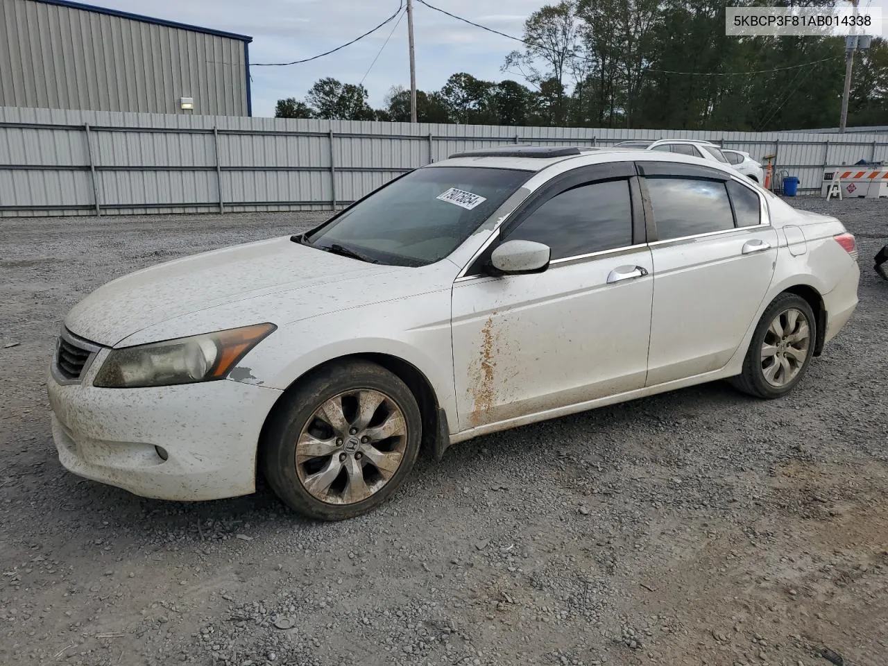 2010 Honda Accord Exl VIN: 5KBCP3F81AB014338 Lot: 79075054