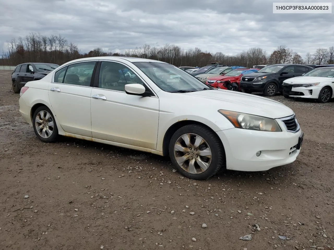 2010 Honda Accord Exl VIN: 1HGCP3F83AA000823 Lot: 80028424