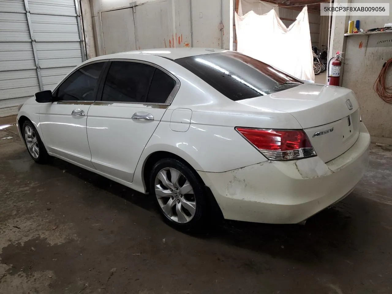 2010 Honda Accord Exl VIN: 5KBCP3F8XAB009056 Lot: 80261654